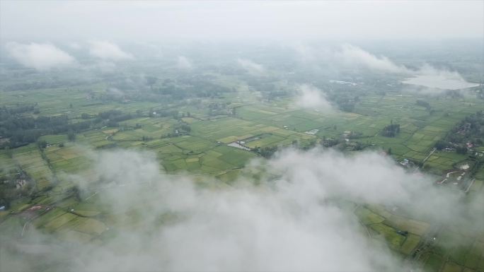 盱眙田野田地农田地貌航拍风光风景A016