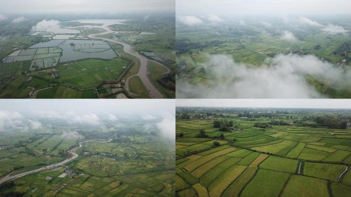 盱眙田野田地农田地貌航拍风光风景A016