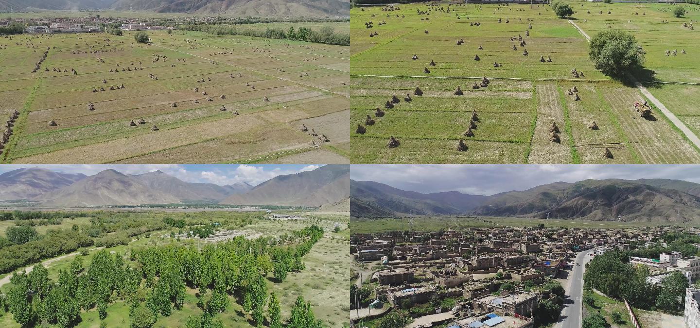 2.7K西藏农村