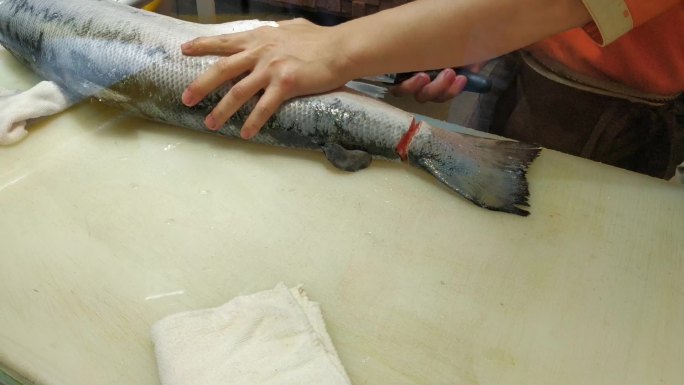 厨师切割新鲜三文鱼