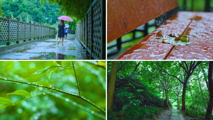 下雨天路上行人 雨季树林意境唯美空镜