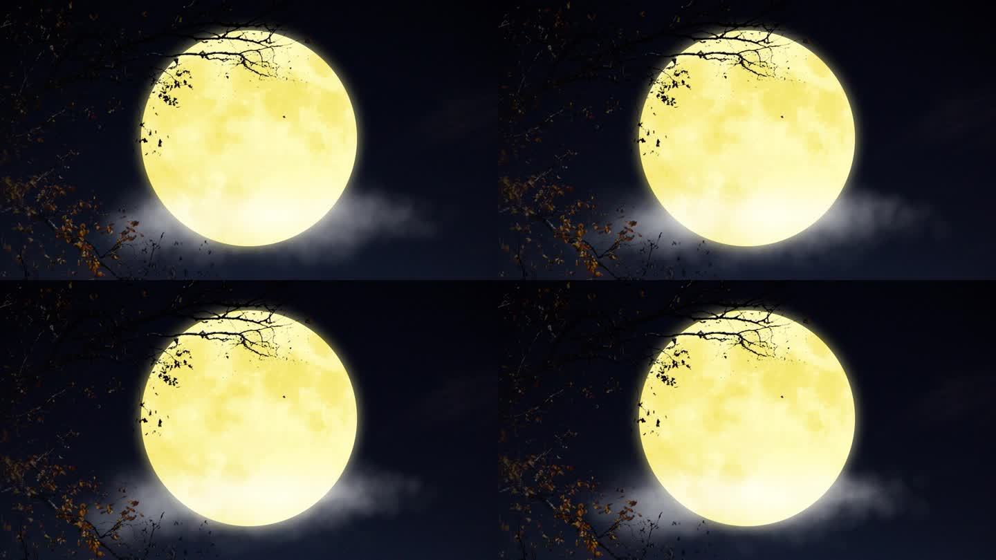 4K中秋满月望月中秋-循环1
