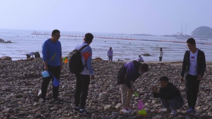 赶海挖海鲜海边生活