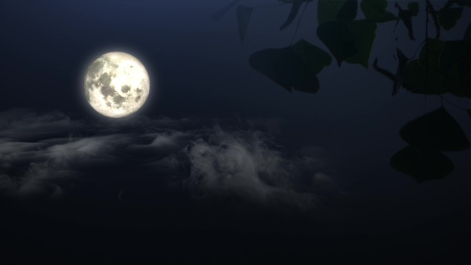 月亮-桂树