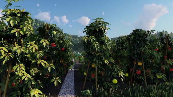 现代乡村菜园标准种植菜地景观3D动漫设计