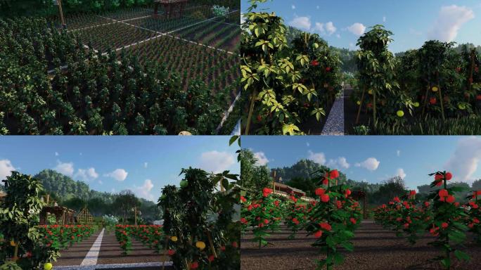 现代乡村菜园标准种植菜地景观3D动漫设计