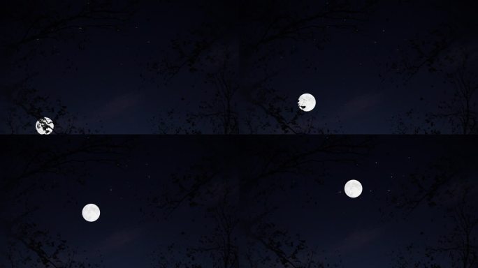 4K唯美夜色月亮升上天空2
