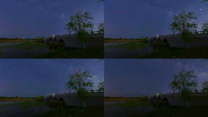 甘肃酒泉四坝海子湿地公园星空延时摄影视频