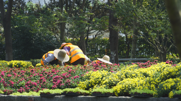 环保绿化工人劳动烈日辛勤劳作维护绿植
