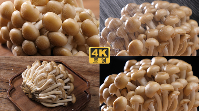 4K蘑菇蟹味菇视频素材