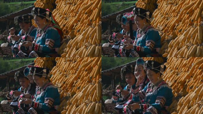 乡村民族视频彝族妇女晾晒包谷垛前做刺绣手