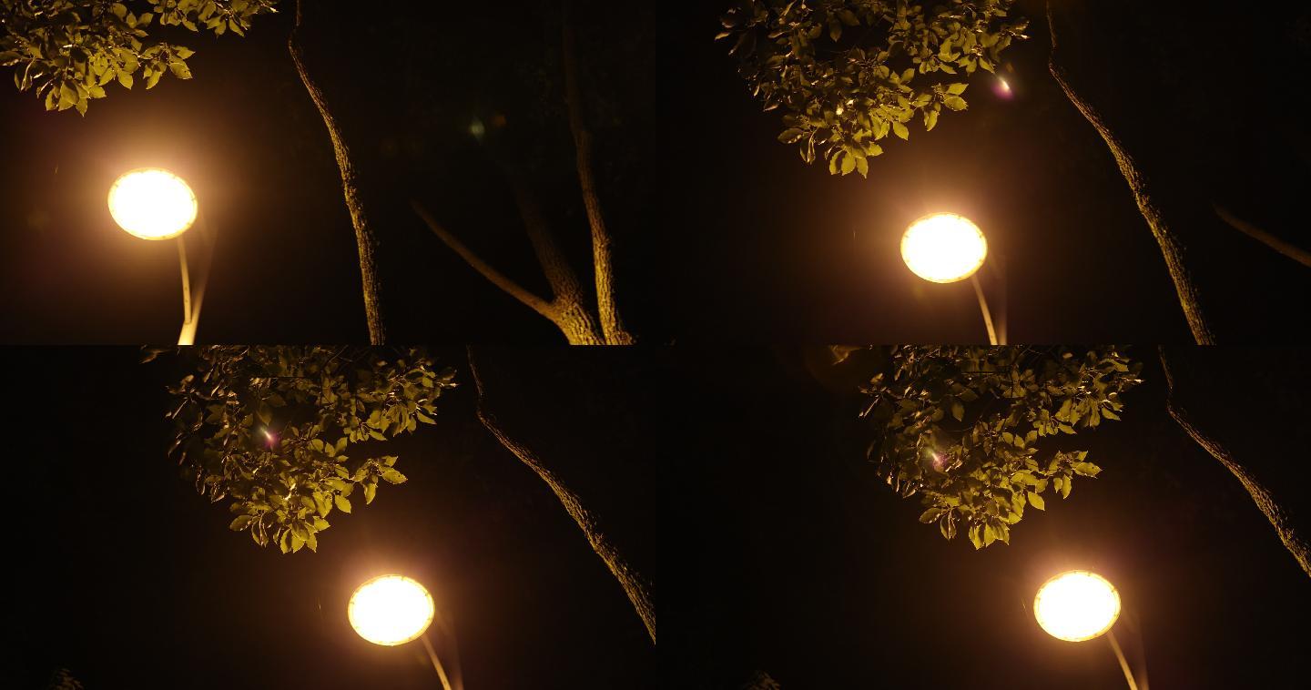 路灯下 升格拍摄 日落 孤独 夜晚