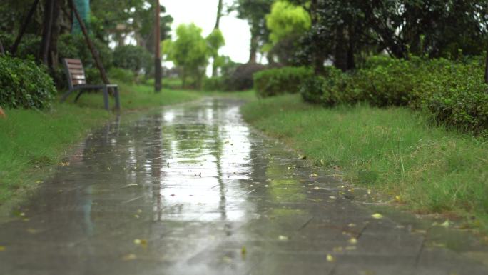 唯美下雨天公园小路长椅空镜头