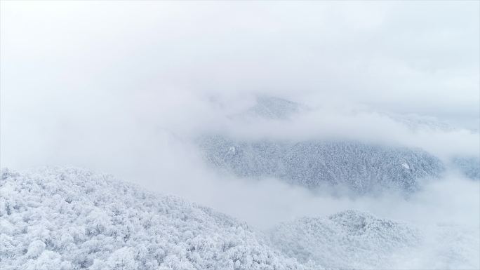 西岭雪山雪景