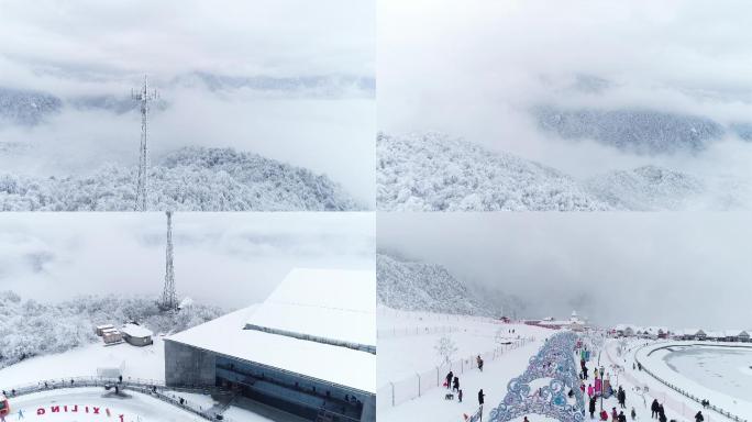 西岭雪山雪景