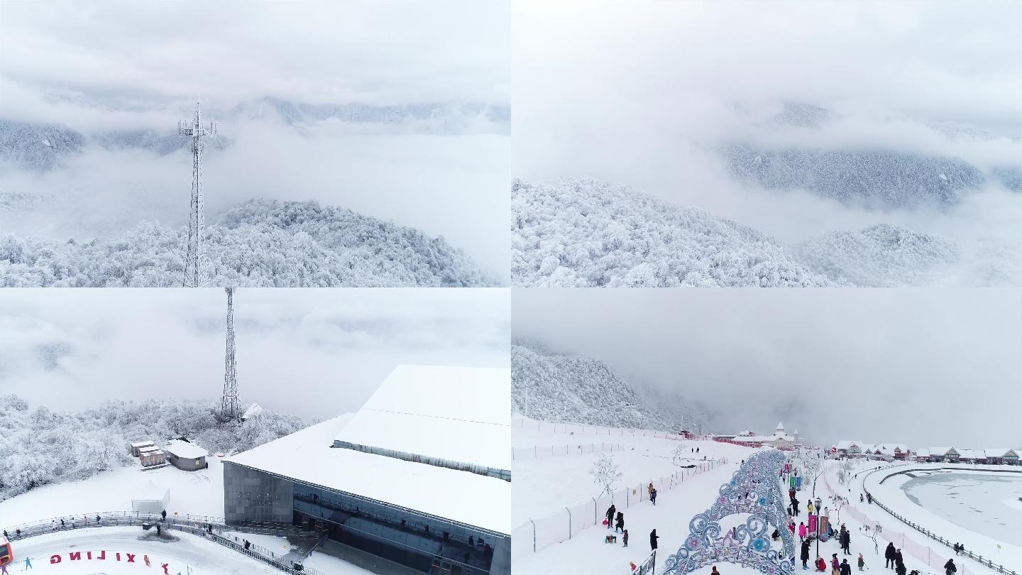 西岭雪山雪景