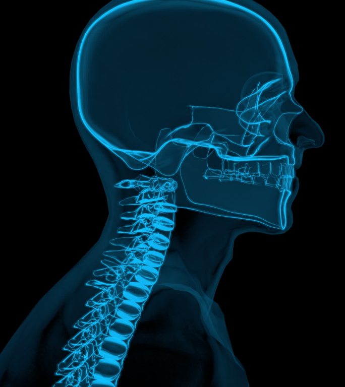 X光骨骼颈椎手部腰部人体医学扫描