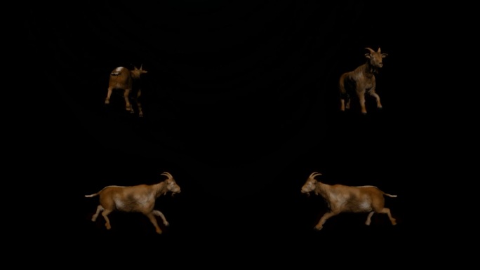 羊奔跑动画（带Alpha通道）