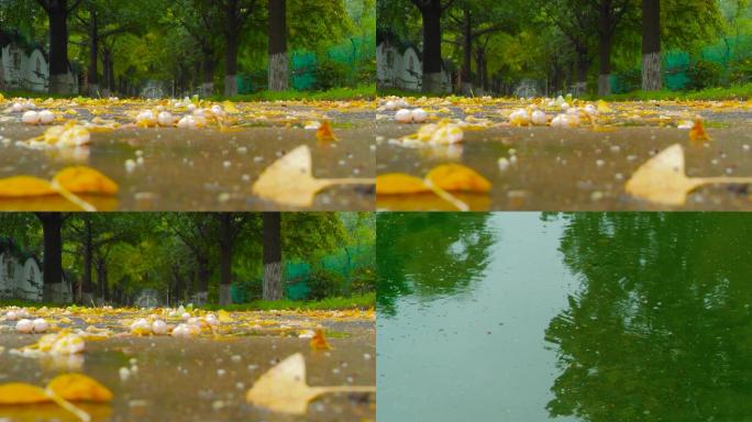 秋天雨后街道