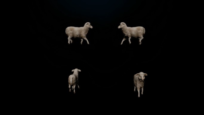 次时代写实羊走路（带Alpha通道）
