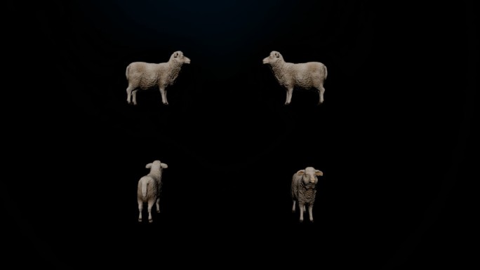 次时代写实羊（带Alpha通道）