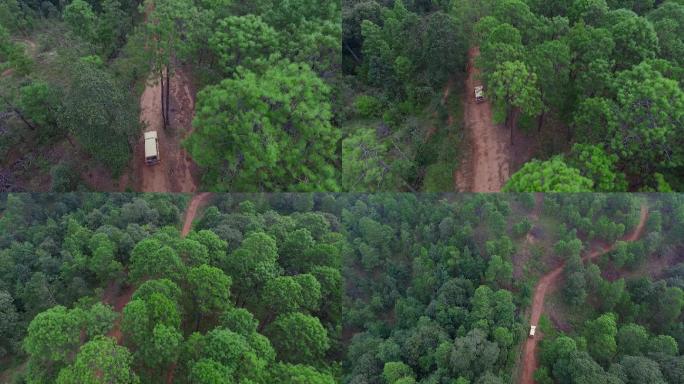 森林小路视频山区森林中土路上车辆艰难行驶