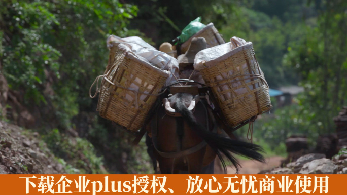马帮视频中国西南农村驮货物的马匹
