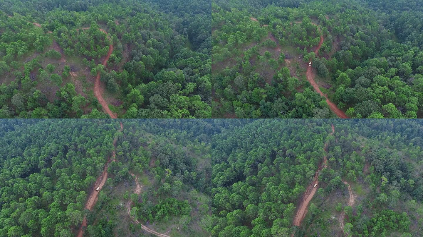 原始森林视频山区森林中土路上车辆艰难行驶