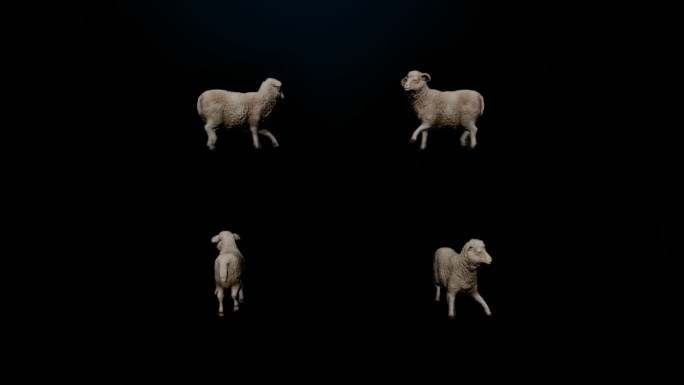 羊走路动画（带Alpha通道）