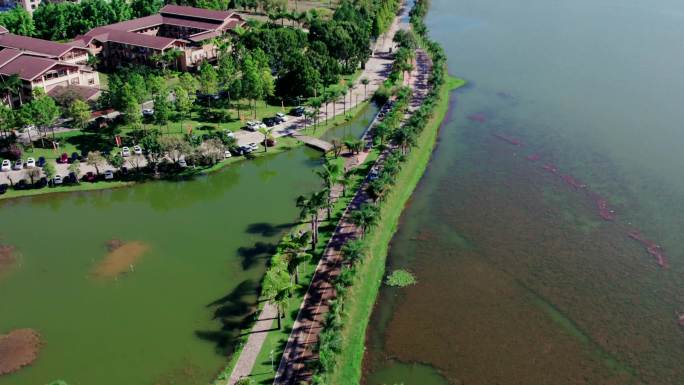 湖边道路 环湖道路 环湖公路 航拍