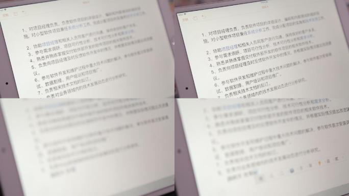 白领项目经理笔记本电脑打字计划书 (2)