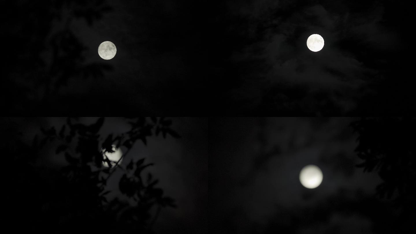 月亮中秋赏月满月阴森恐怖月黑风高