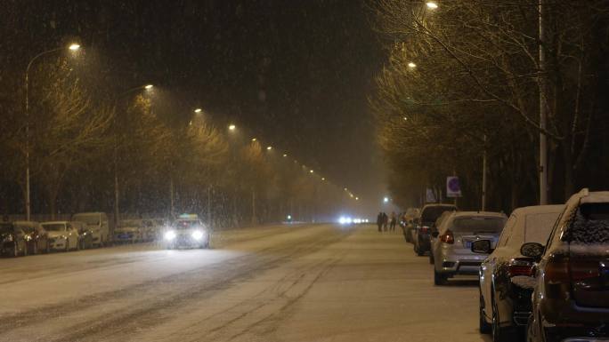 飘扬的雪花 夜景 路灯下