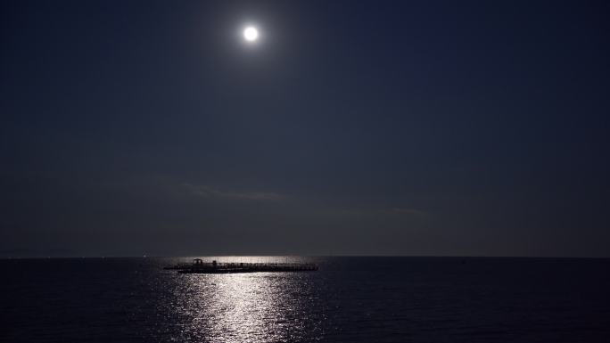 月光下的海面4K
