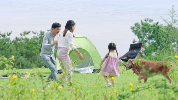 一家三口 狗 春天 夏天 野餐