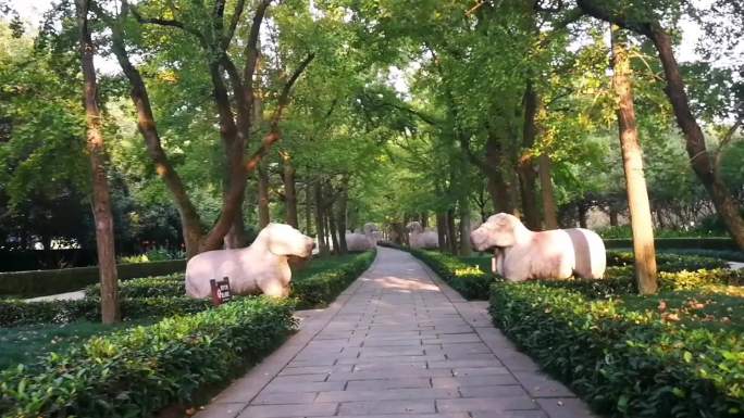 石象路神道之晨曦（南京仲秋）