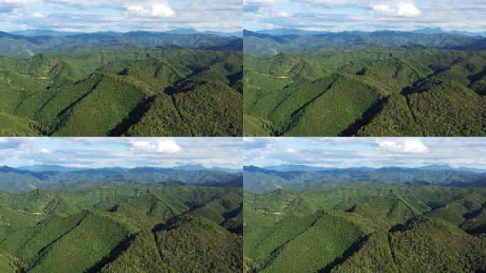 江西永新九陇山