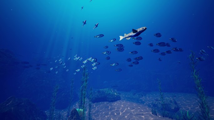 原创海洋生物可循环4k背景动画