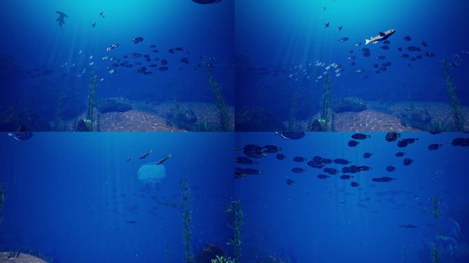 原创海洋生物可循环4k背景动画