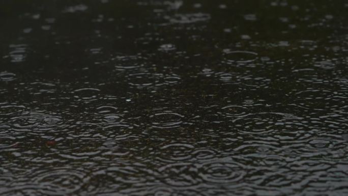 雷雨下雨暴雨