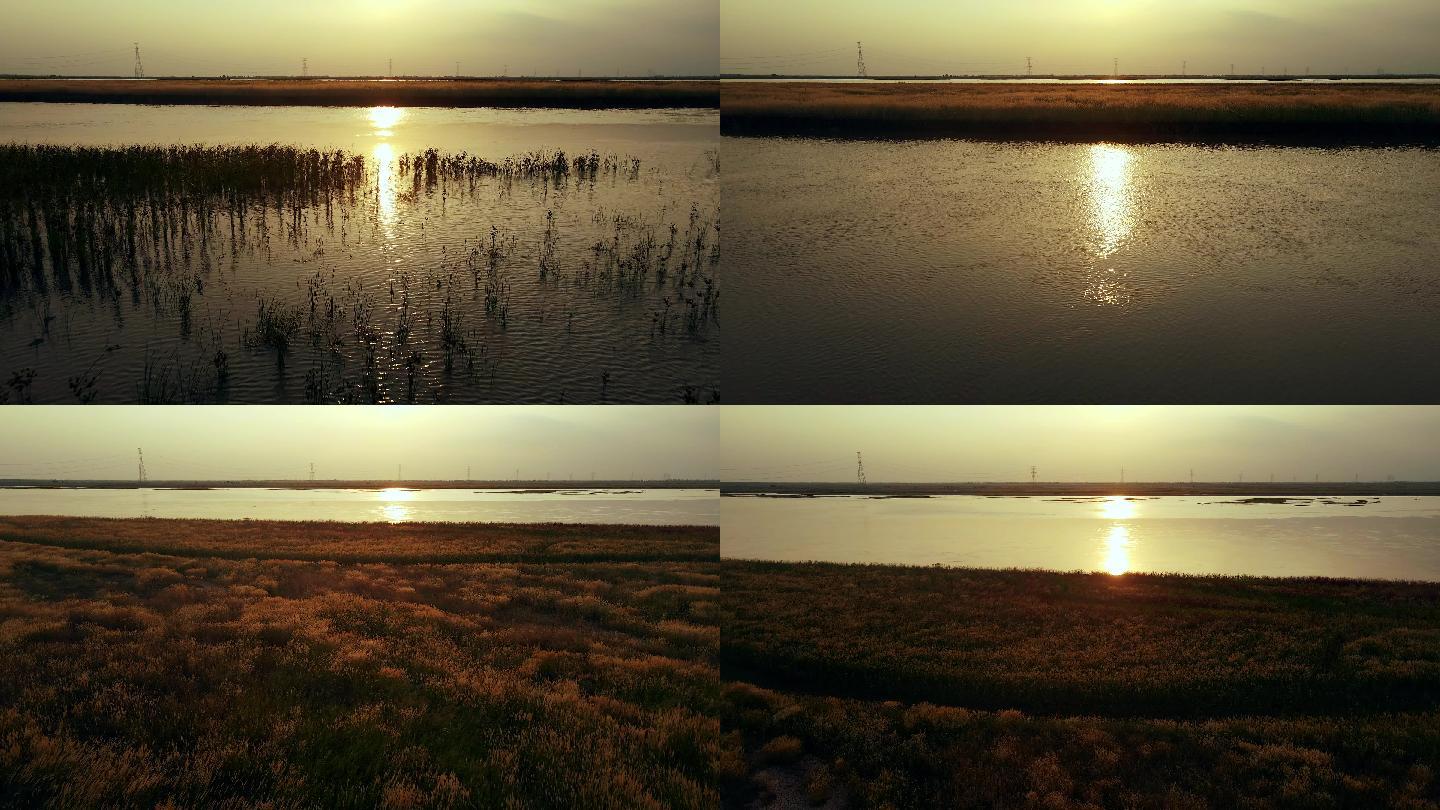 夕阳下的黄河-河面-湿地芦苇