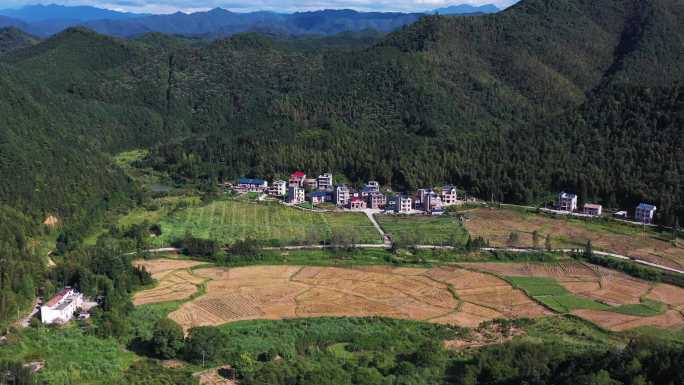 江西省永新县三湾乡三湾村