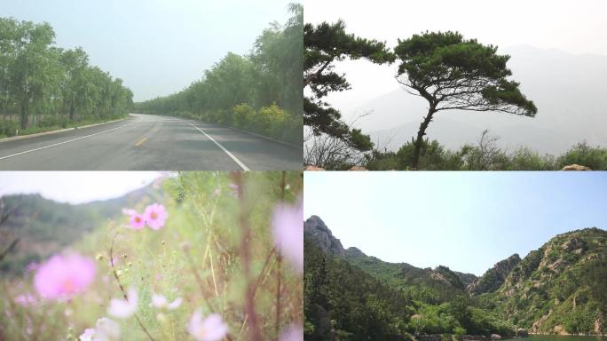 农村道路 山间野花 水库 松鼠 风力发电