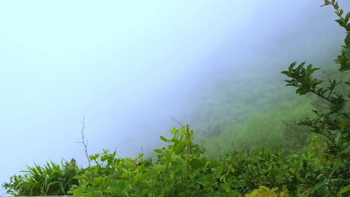 神秘大自然风景