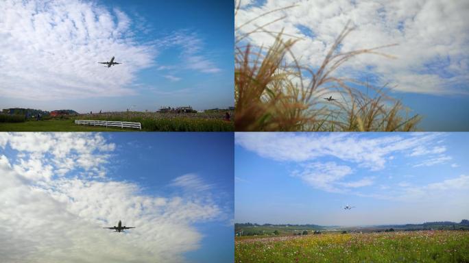 空港花田浪漫飞机起落视频素材