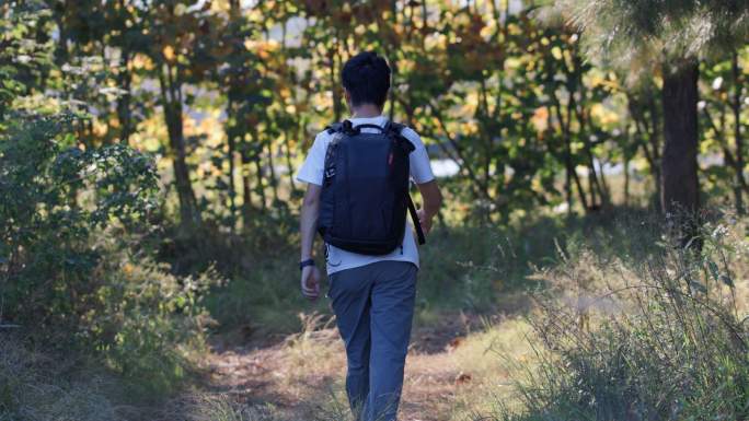 4K年轻男性背包独自在树林中行走
