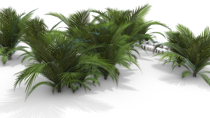 原创AE/E3D动画模型-飘动的灌木