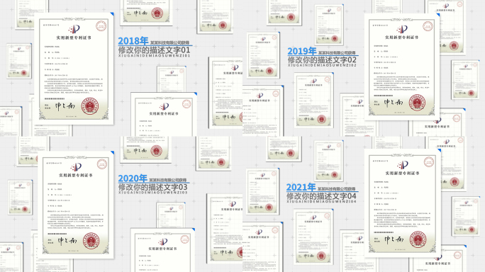 白色简洁专利展示