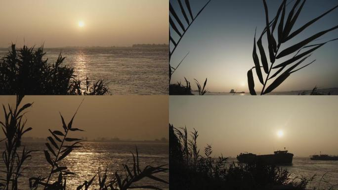 黄昏湖面、夕阳、落日、草丛、摇曳、风