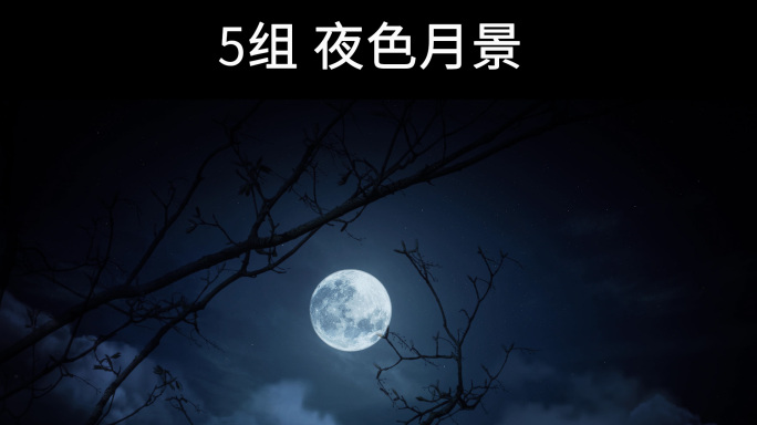 5组_夜景月色